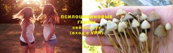 винт Богородск