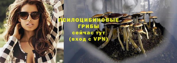 ГАЛЛЮЦИНОГЕННЫЕ ГРИБЫ Богородицк