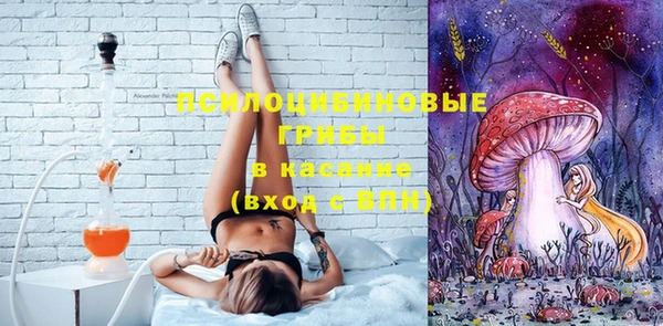 ГАЛЛЮЦИНОГЕННЫЕ ГРИБЫ Богородицк