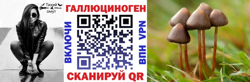 Псилоцибиновые грибы Psilocybe  blacksprut маркетплейс  Суворов 