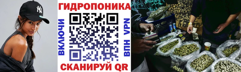 купить наркоту  MEGA как зайти  Бошки Шишки White Widow  Суворов 